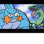 The mudkips squad