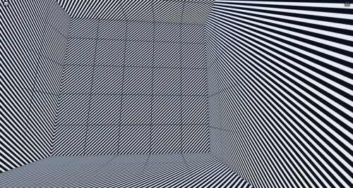 Zebra Room
