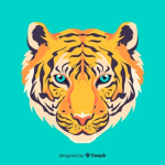Official Tiger Team!
