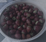Space starwberrys