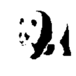 TheMiniTeam