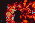 Rezz boyss