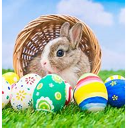Easter Ugc!