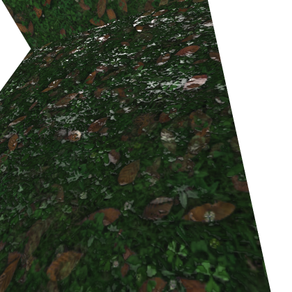 Moss