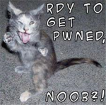 N O O B     P W N E R S     I N C.