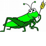 Grasshopper Appreciation Society