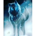 The Shadow Wolfs Of The Night