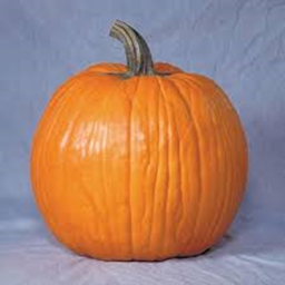 Pumpkin Simulator! {BETA}
