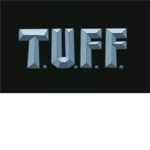 True Ultiment Fighting Form