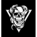 The Viper Evolution