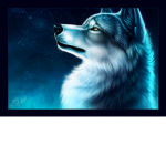 ice wolf club!