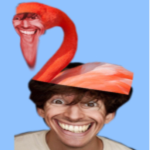The Flamingo Fan Club XD