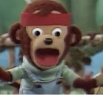 monkee cult