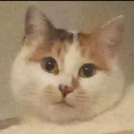 meannoysu