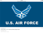 American Air Force Offical Group