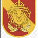 Montenegrin Armed Forces’