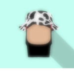 ewe.kiwi