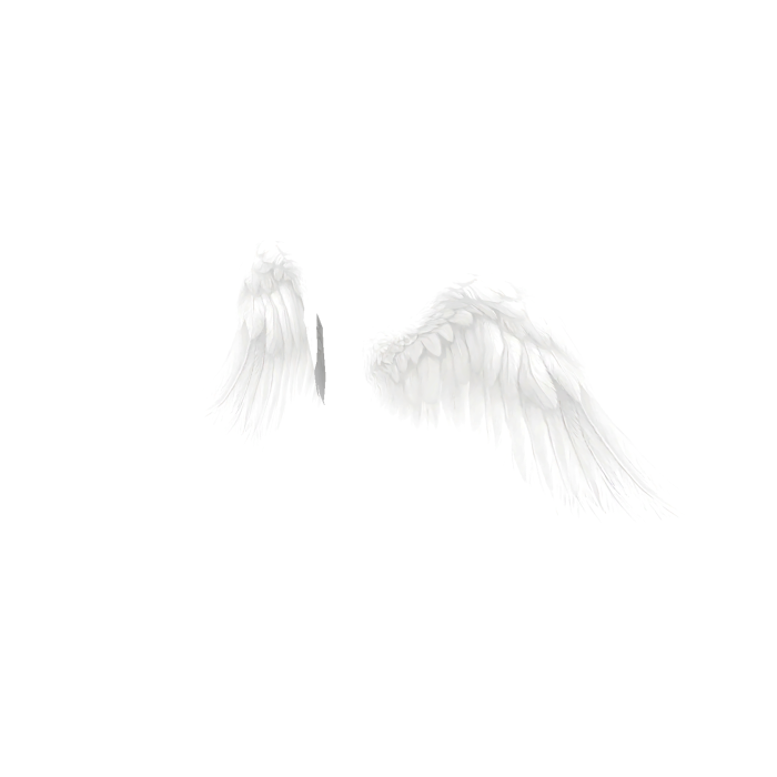 White Angel Wings