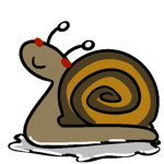 corola