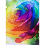 Nimmy12334