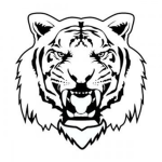 ShadowTiger Studios