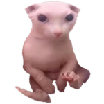 Bingus