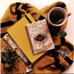 💛🖤