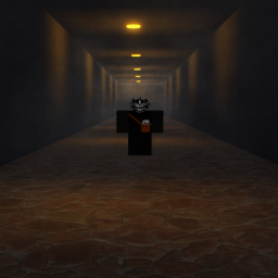 The "Hall" Incident