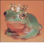 Froggiezz