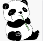 Panda jungle xoxo