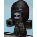 Gorillas group