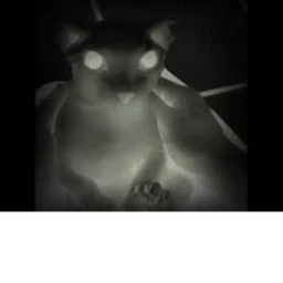 bingus horror icon