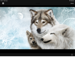WOLF SIMULATOR