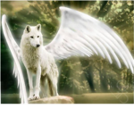 Angel Wolves of Roblox