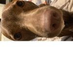 Ella boiiii