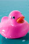 ~pink duckies~