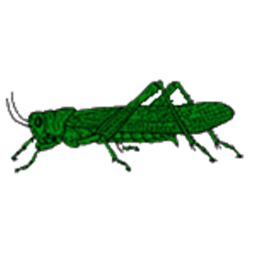 Football Grounds: Grass Hoppers