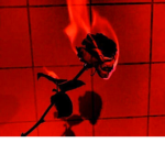 Red gang haha