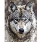 The Heavenly Wolves