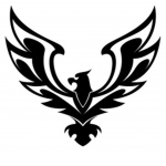 ShadowFalcon plays group