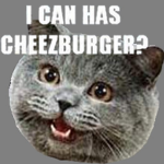 The Robloxian Meme People