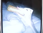 MyLegsDangle