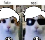 {+. DoveClan .+}