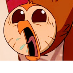 The owlhouse fan group