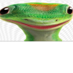 Geico gekko
