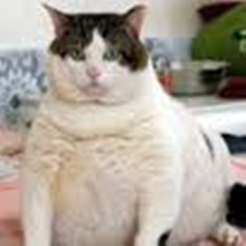 Qeenofpie's Place Number: 45