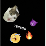 TECSOS