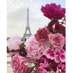 Paris Fam