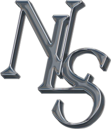 Neverlife Games Roblox group icon