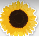 Sunny sunshine<3